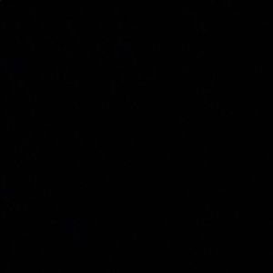 Meet your Posher, Hayley